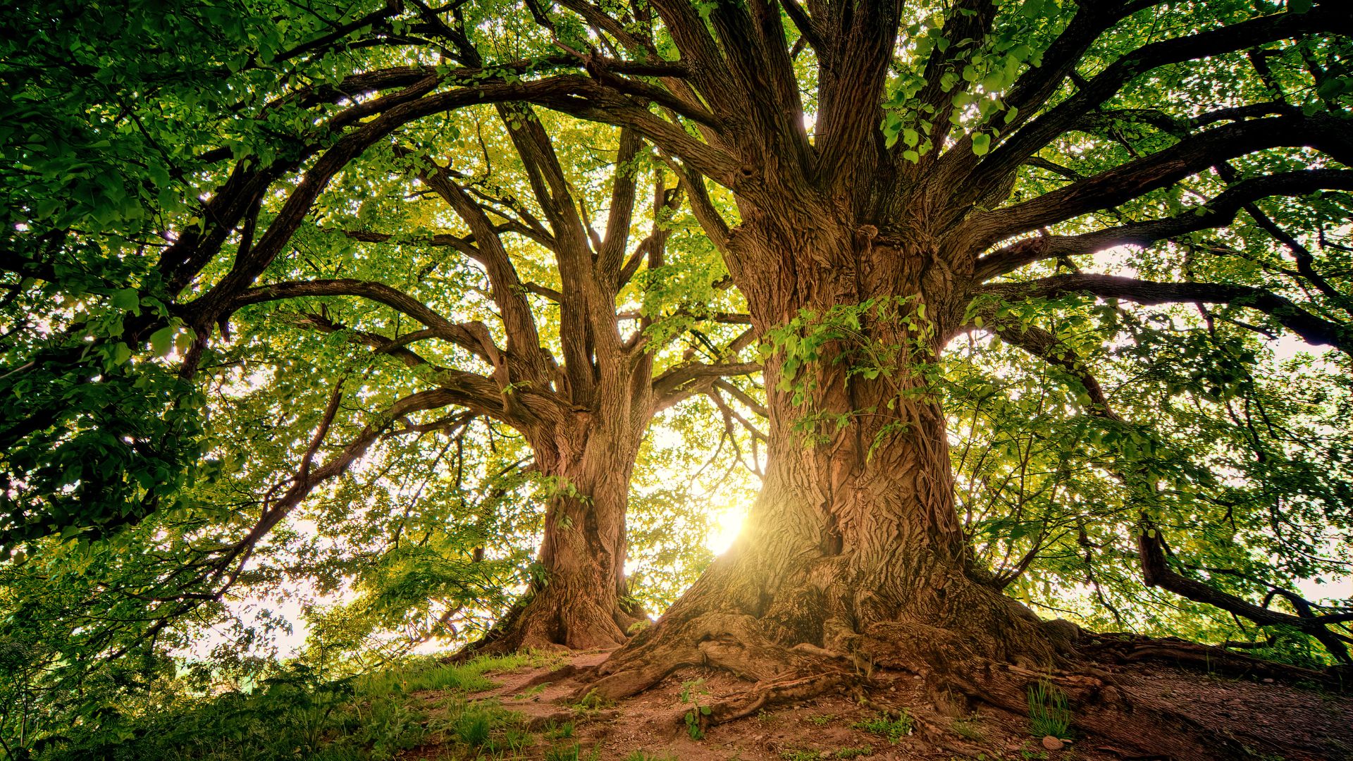 Our contribution to sustainability