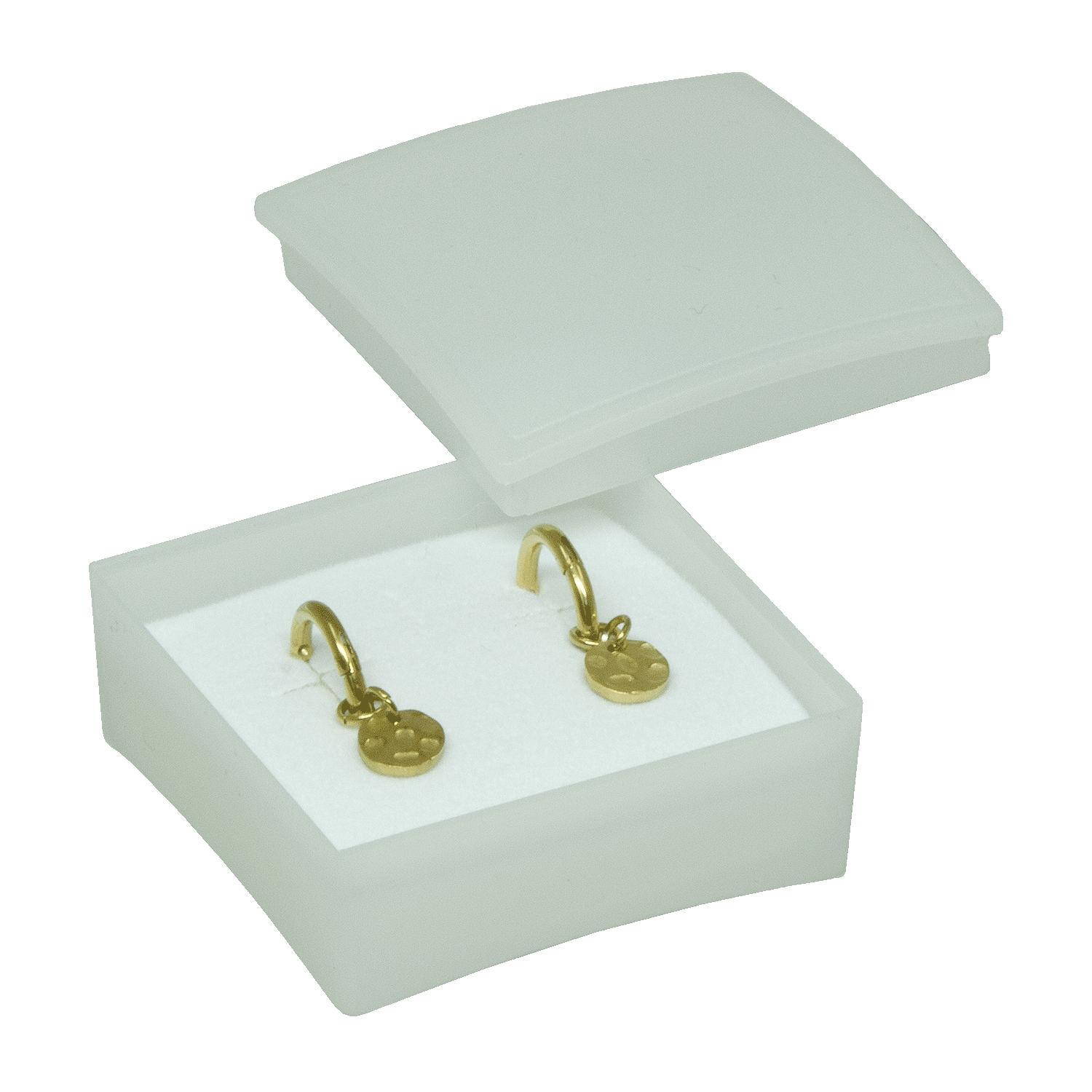 Plastic boxes for ear studs