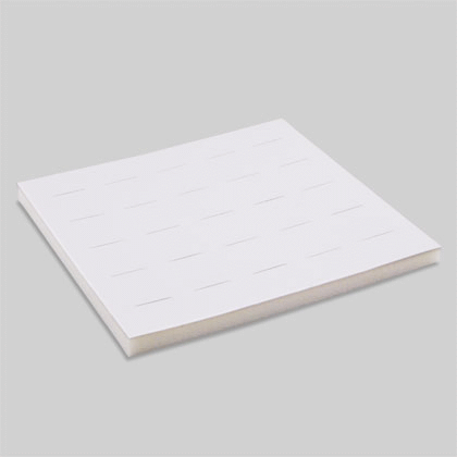 Die-cut insert for 25 rings
