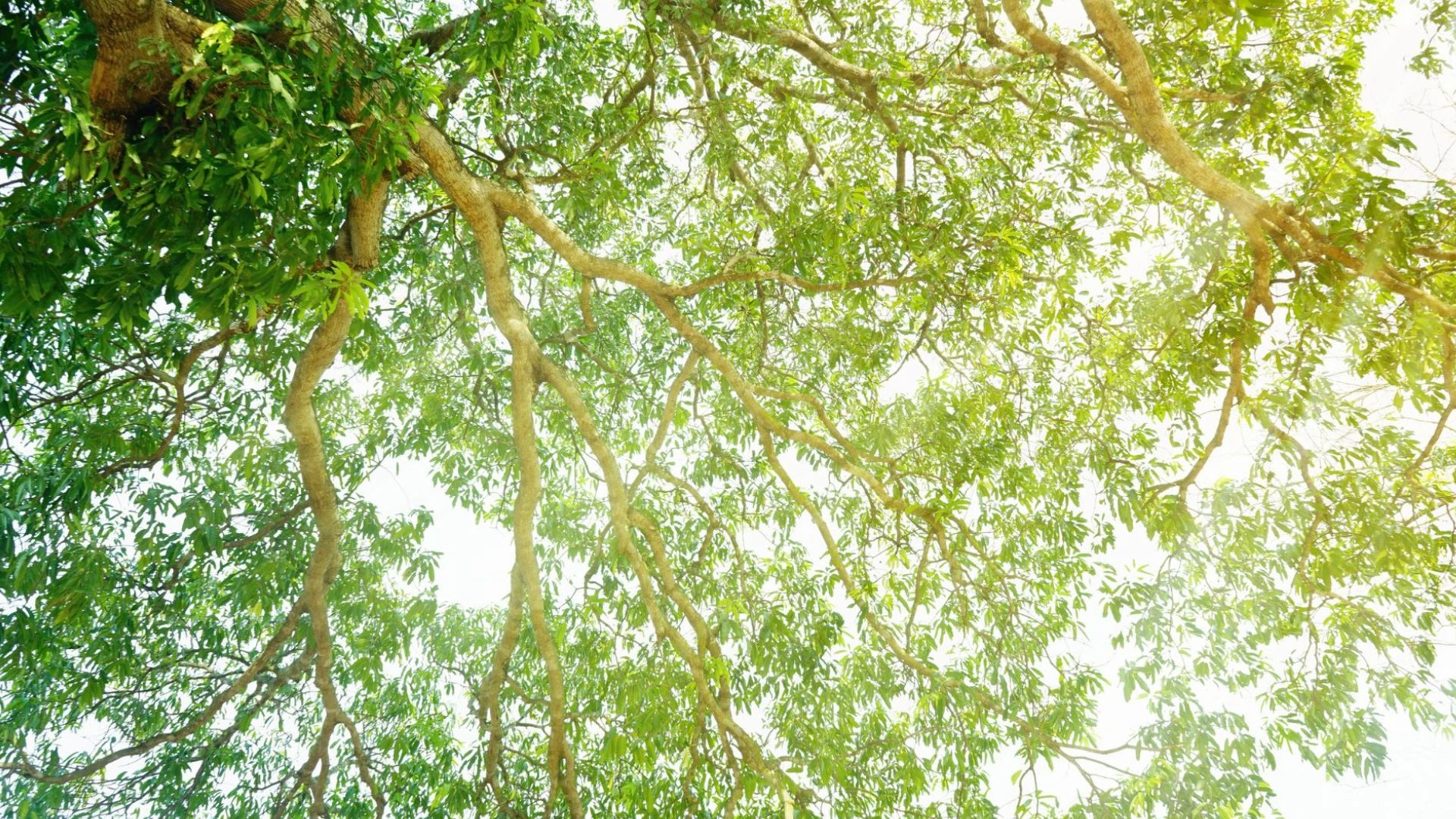 Sustainability is not just a concept for LESER