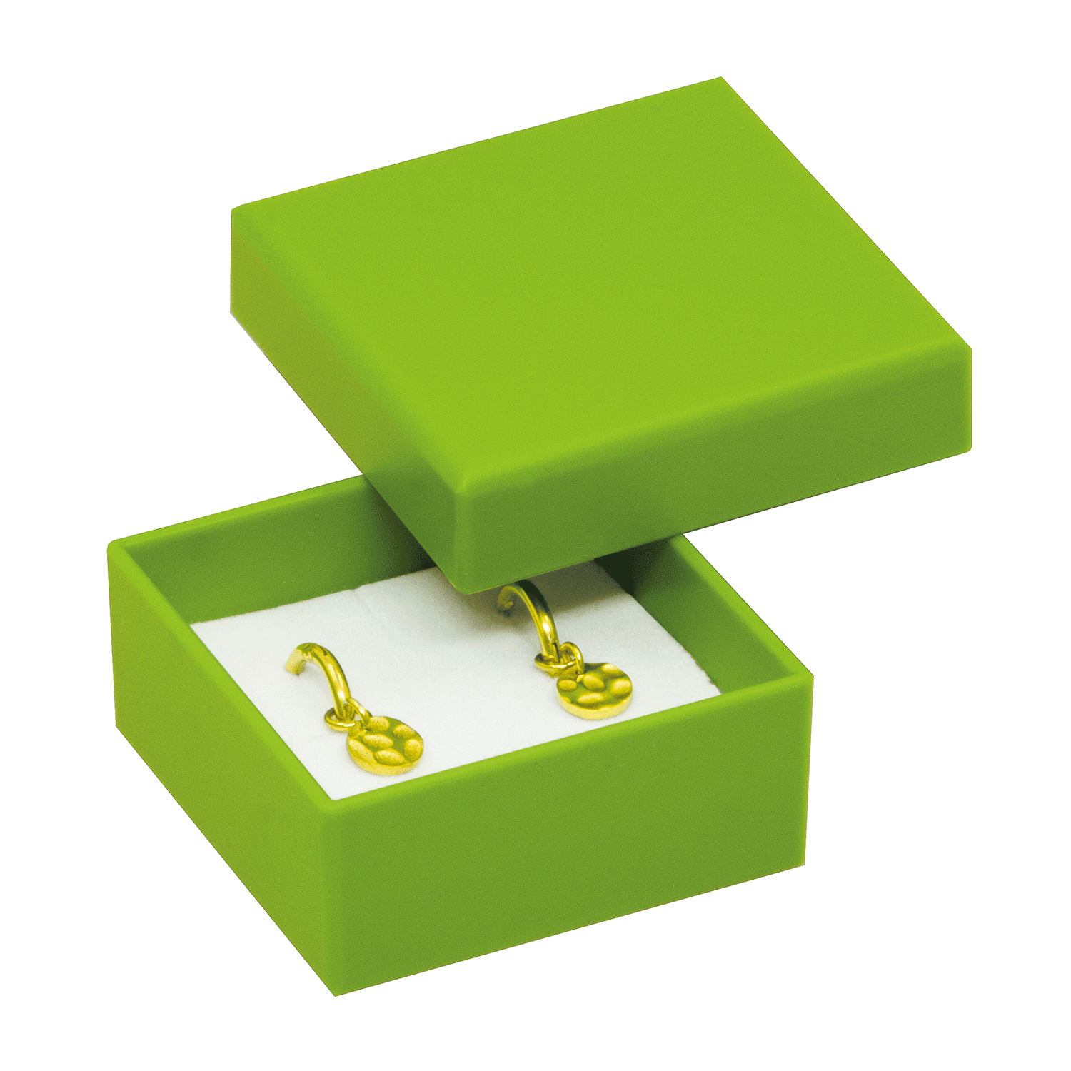 Bio-plastic boxes for ear studs