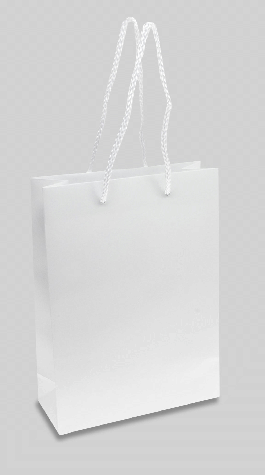 Large paper carrier bags