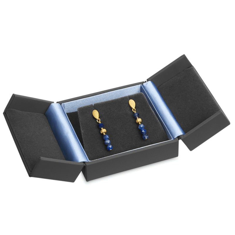 Double door cases for earrings